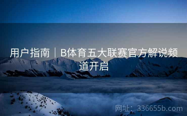 用户指南｜B体育五大联赛官方解说频道开启