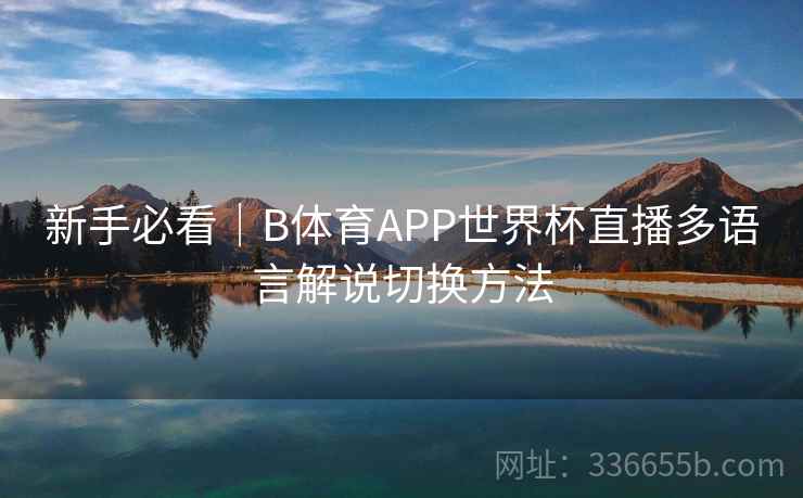 新手必看｜B体育APP世界杯直播多语言解说切换方法
