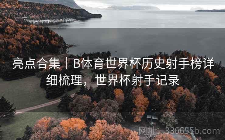 亮点合集｜B体育世界杯历史射手榜详细梳理，世界杯射手记录  第1张