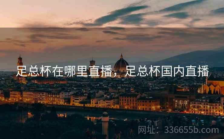 足总杯在哪里直播，足总杯国内直播  第2张