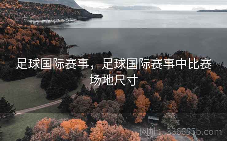 足球国际赛事，足球国际赛事中比赛场地尺寸