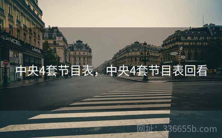 中央4套节目表，中央4套节目表回看