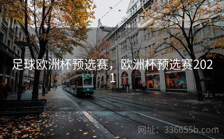 足球欧洲杯预选赛，欧洲杯预选赛2021
