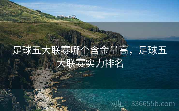 足球五大联赛哪个含金量高，足球五大联赛实力排名