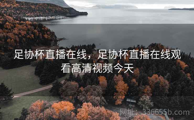 足协杯直播在线，足协杯直播在线观看高清视频今天