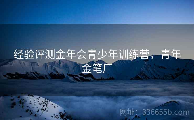 经验评测金年会青少年训练营，青年金笔厂