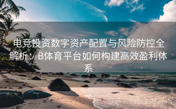电竞投资数字资产配置与风险防控全解析：B体育平台如何构建高效盈利体系
